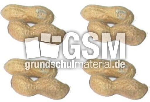 Erdnüsse-4x2.jpg